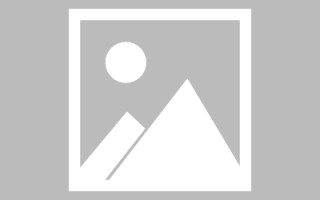 伊川网页设计师周记（网页设计周记26篇300字）