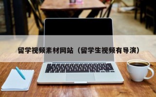 伊川留学视频素材网站（留学生视频有导演）