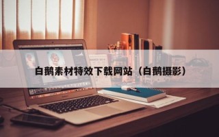 伊川白鹅素材特效下载网站（白鹅摄影）